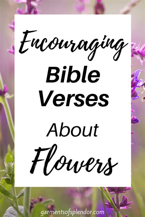 38 Encouraging Bible Verses About Flowers With Free Printable