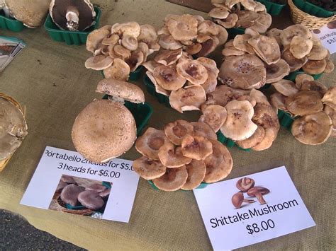 Mushrooms Are Magic And Mothers Day At The Vienna Farmers Market