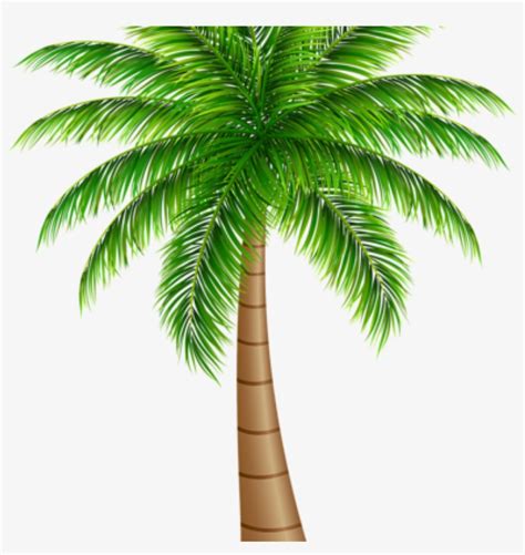 Palm Clipart Palm Tree Large Png Clip Art Image Art Palm Tree Graphic