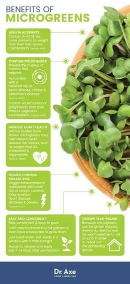 Within india rajasthan accounts for its largest cropped area and production. Image result for microgreens (With images) | Coconut ...