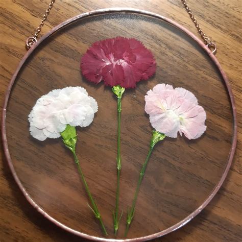 Pressed framed carnations | Pressed flowers, Pressed ...