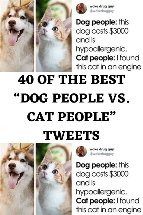 40 Of The Best “dog People Vs Cat People” Tweets Dog People Cat