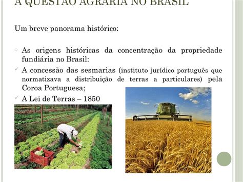 Sobre A Agricultura Brasileira São Feitas As Seguintes Afirmações