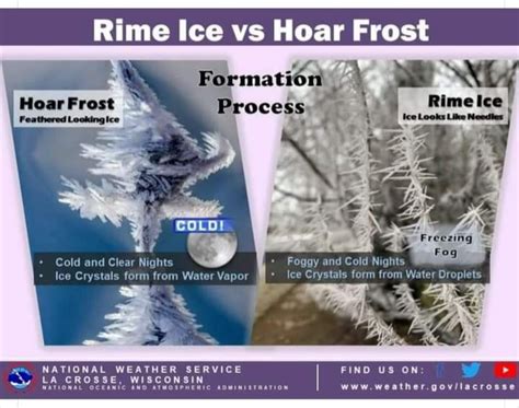 Rime Ice Vs Hoar Frost — Dandd Excavating And Landscape Service Inc