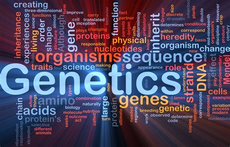 Mendelian Genetics Web Kit 3 Videos Via Khan Academy The
