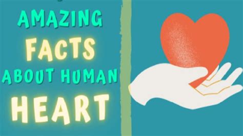 7 Surprising Facts About Human Heart Video