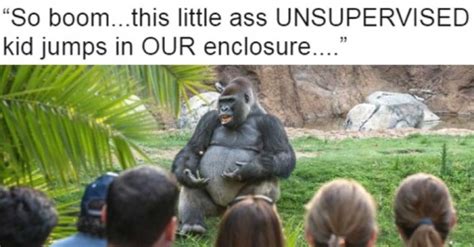 hilarious gorilla meme pictures  images gallery memesboy