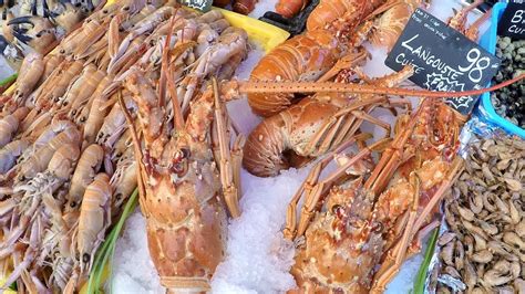 Nice France Biggest Fresh Fish Market On Christmas Days Youtube