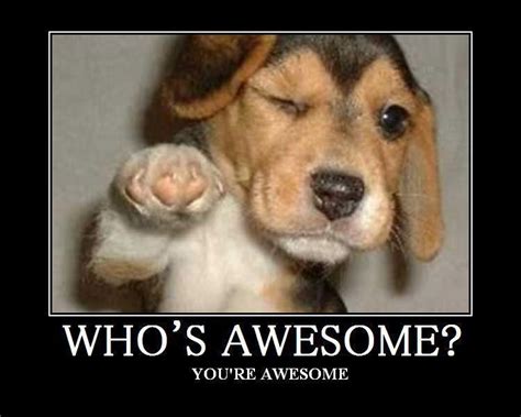Whos Awesome Youre Awesome