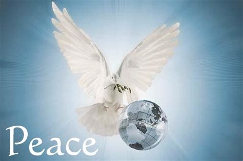 25 Best Images About Peace Doves Love On Pinterest Peace Birds And