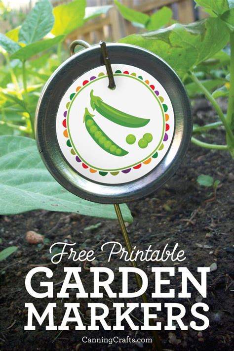 Printable Garden Markers For Vegetables Garden Markers Plant Labels