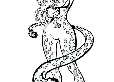 Select from 32084 printable coloring pages of cartoons, animals, nature, bible and many more. Clouded Leopard Drawing | Free download on ClipArtMag