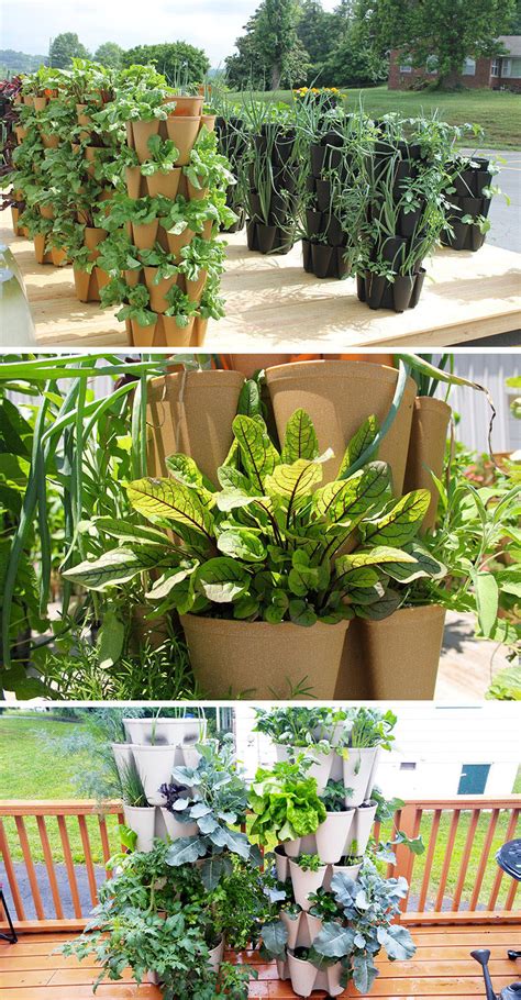 Lebanon, mo sun or shade: 5 Vertical Vegetable Garden Ideas For Beginners | CONTEMPORIST