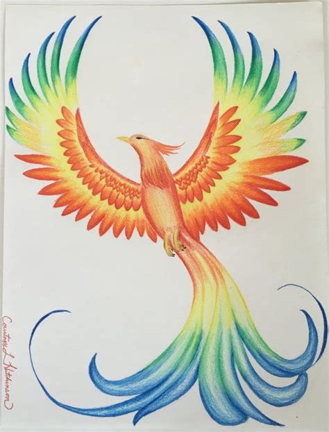 Bald eagle phoenix bird drawing phoenix png download 1791 1284. Prismacolor Phoenix drawing 8 1/2" x 11" | Phoenix drawing ...