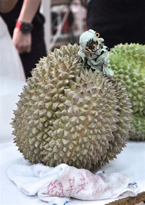 Price comparison of mao shan wang, d13 & other durians in s'pore. FOOD Malaysia