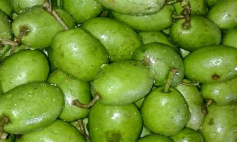 The Season Of Fruits In Bangladesh