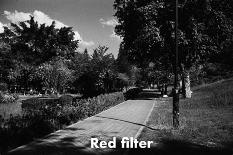 Colour Filters Basic Use For Black And White Film Photography Tahusa