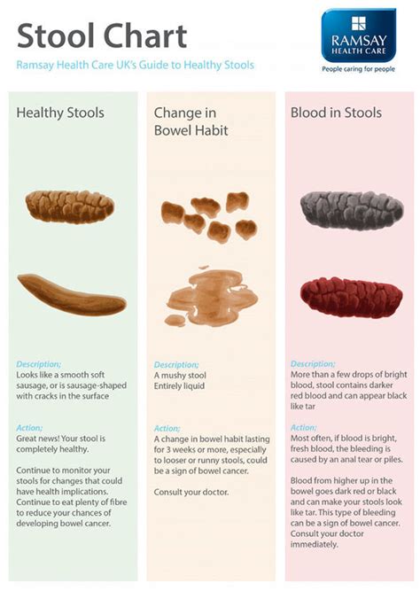 Bowel Cancer Symptoms Should Poo Sink Or Float What A Healthy Stool