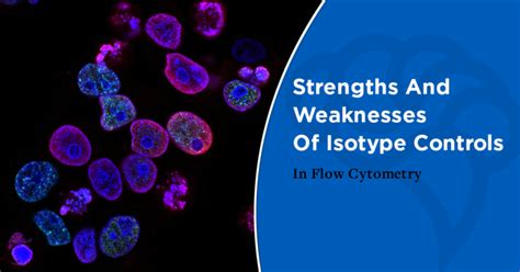 Strengths And Weaknesses Of Isotype Controls In Flow Cytometry Cheeky