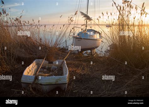 Reeds And Boat Stock Photos And Reeds And Boat Stock Images Alamy