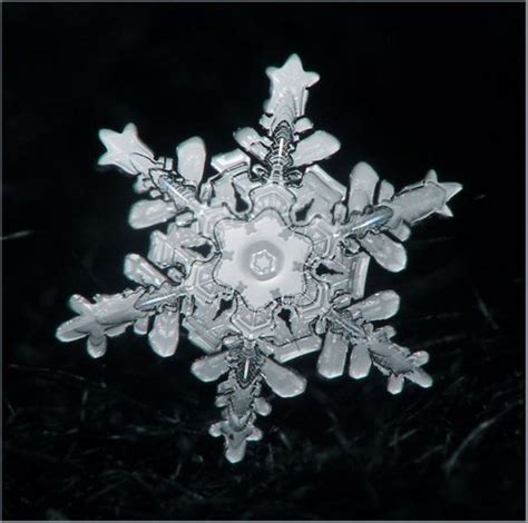 Unique And Beautiful Snowflakes 49 Pics Snowflake