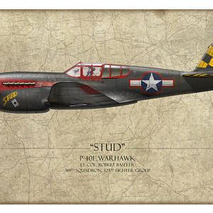 Stud P 40 Warhawk White Background Painting By Craig Tinder Fine