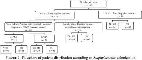 Figure 1 From The Relationship Between Nasal Carriage Of Staphylococcus