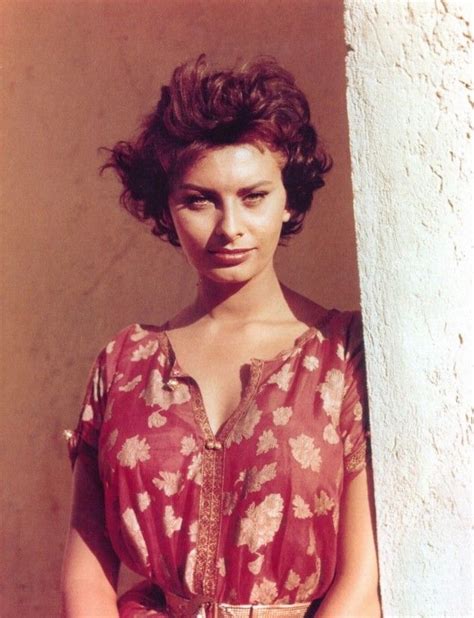 Sophia Loren Giovanissima Sophia Loren Sofia Loren Sophia Loren Images