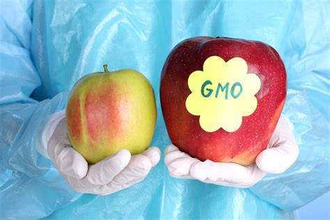 Monsanto Spends 46 Million To Defeat Washington Gmo Labeling