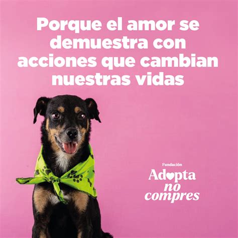 Top 65 Imagen Frases Para Un Perro Adoptado Vn