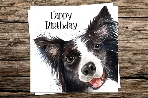 Border Collie Birthday Card Funny Dog Birthday Card Etsy