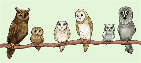 Owls By Mochadia On Deviantart Owl Owl Art Owl Books