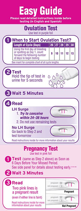 Ovulation time is an integral part of a woman's menstrual cycle. Ovulation Test Plus a Pregnancy Test | FIRST RESPONSE ...