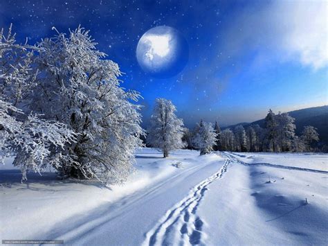 Download Wallpaper Winter Snow Nature Free Desktop Imagini De Iarna