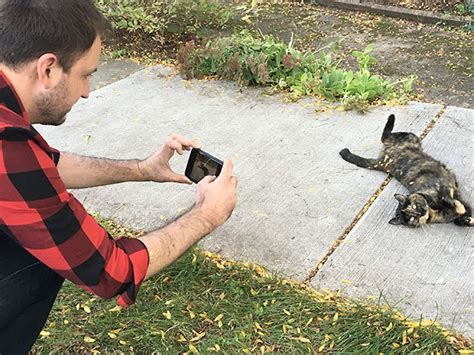 Documenting The Cats Of Madison Isthmus Madison Wisconsin