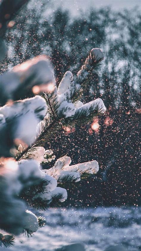 Winter Vibes Wallpapers Wallpaper Cave