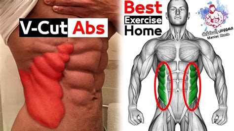 V Cut Abs Workout Best 5 Exercise At Home Youtube