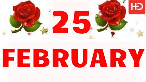 25 February Special New Birthday Status Video Happy Birthday Wishes