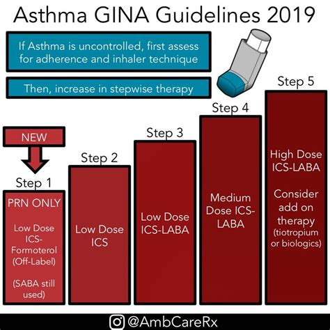 Asthma Inhaler Guidelines