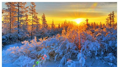 Winter Sunrise Nature Wallpapers Top Free Winter Sunrise Nature