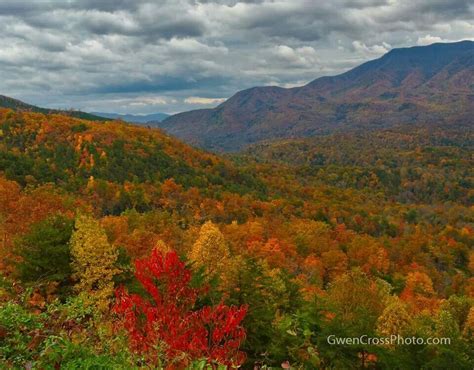 Fall Colors Smoky Mountains Beautiful Landscapes Landscape