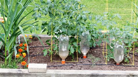 Smart And Simple Ways To Automate Your Garden Watering — Empress Of Dirt