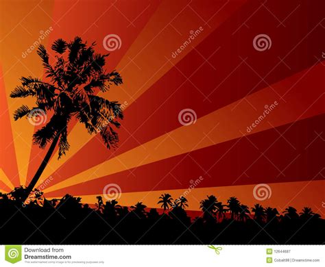 Tropical Sunset Illustration Stock Vector - Illustration of scene, horizontal: 12644687