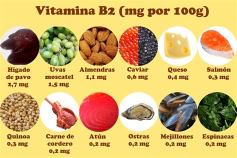Alimentos Ricos em Vitamina B12 Conheça 10 Opções