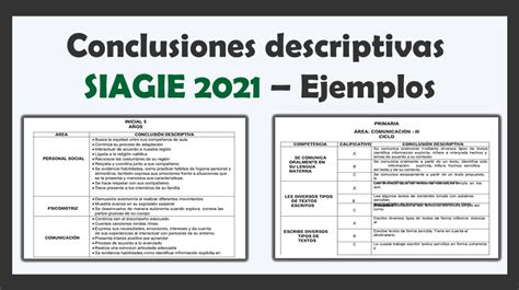 Ejemplos De Conclusiones Descriptivas Para El Llenado Al Siagie