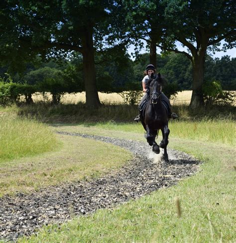 Parwood Equestrian Centre One Of The Finest Equestrian Training