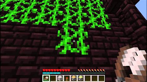 It is centered around generating and harnessing the magical energy produced by mystical flowers. MineCraft- How to Farm Vines - YouTube