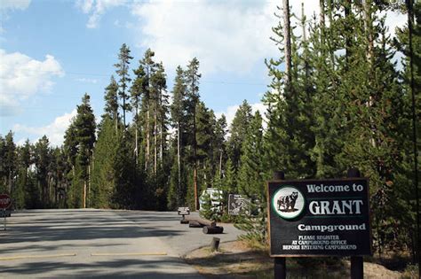 Grant campground—elevation 7,800 feet (2377 m)—is located in grant village, just off the grand loop road at the south end of yellowstone lake. Grant Village Campground, Yellowstone National Park ...