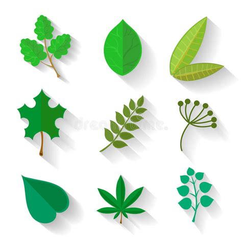 Set Of Leaves Various Trees Isolated Green Leave Stock Vector