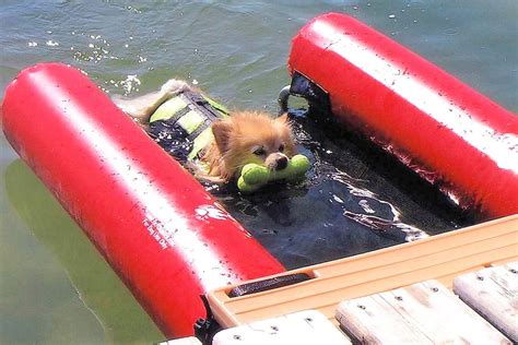 Inflatable Dog Boat Ramp ~ Dyak